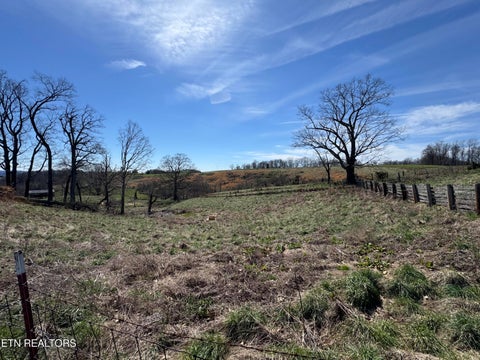 Tiny photo for 120 Oak Grove Church Rd, Harrogate, TN 37752 (MLS # 1360068)
