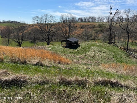 Tiny photo for 120 Oak Grove Church Rd, Harrogate, TN 37752 (MLS # 1360068)