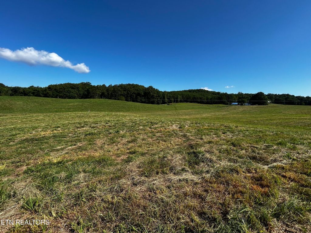 Photo of 6 Reliance Rd, Tellico Plains, TN 37385 (MLS # 1309891)