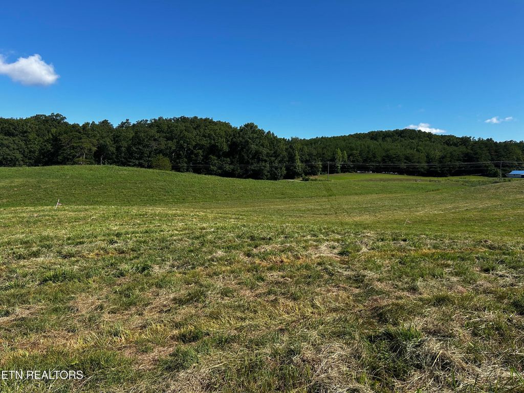Photo of 6 Reliance Rd, Tellico Plains, TN 37385 (MLS # 1309891)