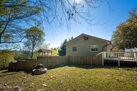 Tiny photo for 122 Kentucky Ave, Oak Ridge, TN 37830 (MLS # 1319419)