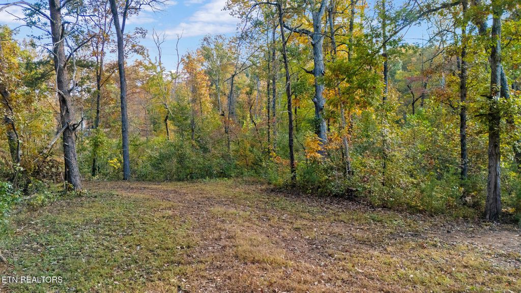 Photo of 209 Ridge Rd, Maryville, TN 37803 (MLS # 1320592)