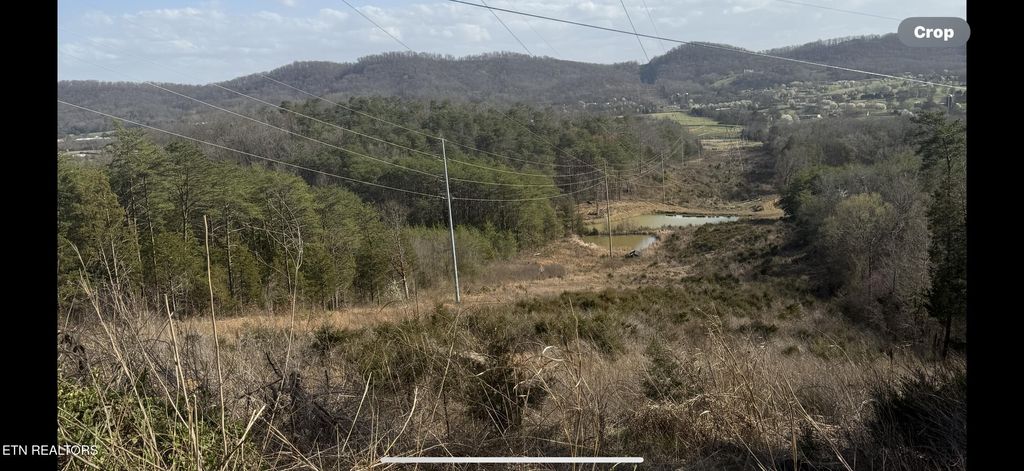 Photo of 1372 Friends Station Rd, New Market, TN 37820 (MLS # 1293543)