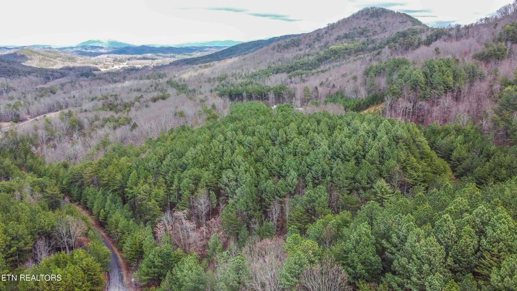 Photo of 545 Harlan Mountain Rd, Tellico Plains, TN 37385 (MLS # 1290583)
