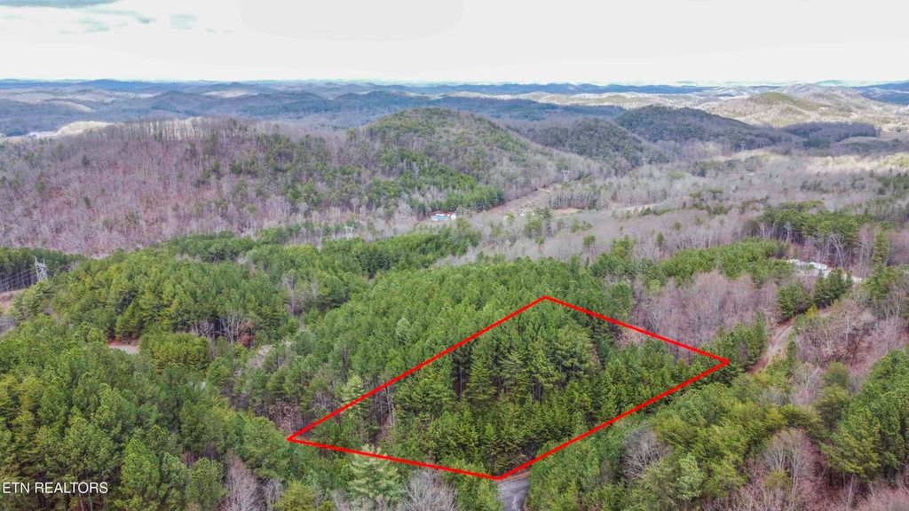 Photo of 545 Harlan Mountain Rd, Tellico Plains, TN 37385 (MLS # 1290583)