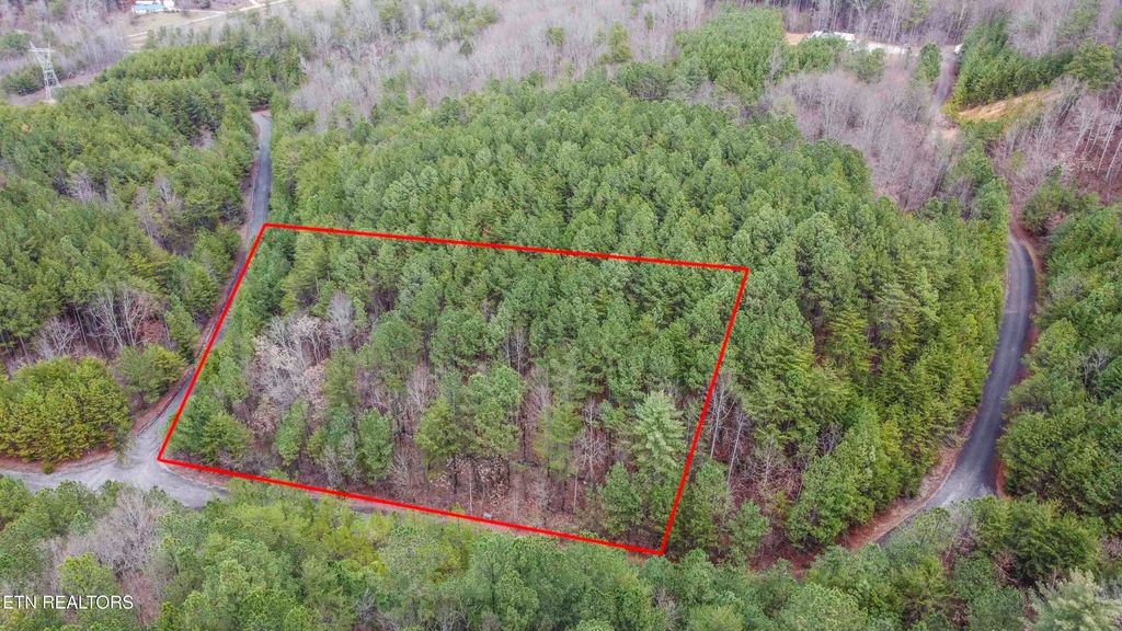 Photo of 545 Harlan Mountain Rd, Tellico Plains, TN 37385 (MLS # 1290583)
