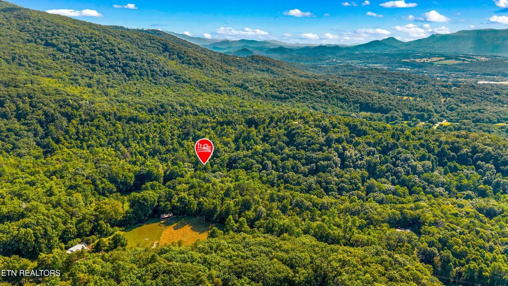 Photo of 14 Halls Top Rd, Newport, TN 37821 (MLS # 1349115)