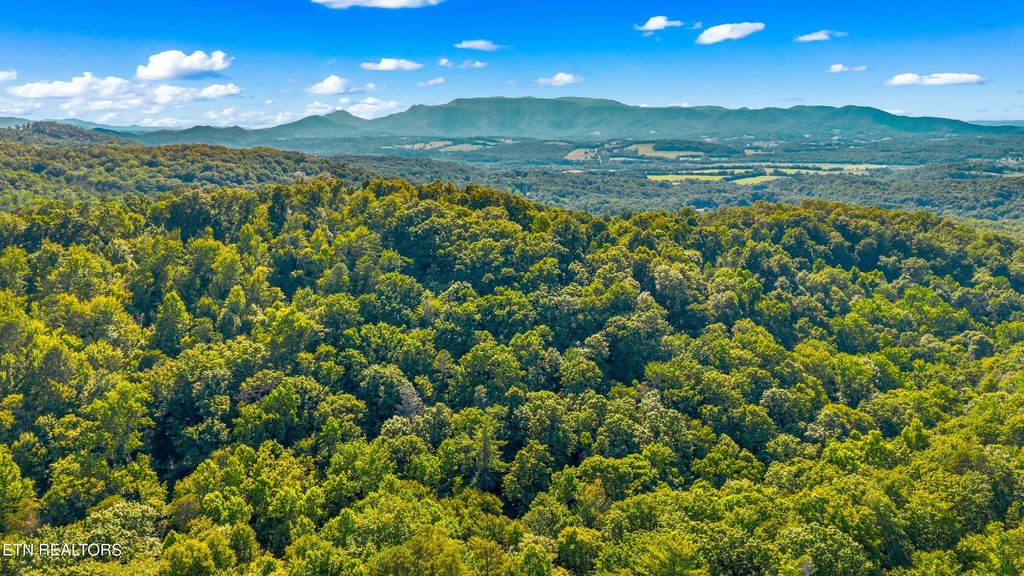 Photo of 14 Halls Top Rd, Newport, TN 37821 (MLS # 1349115)
