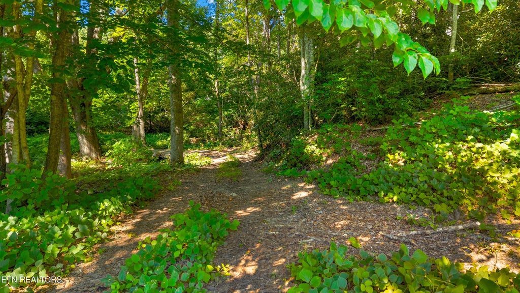 Photo of 8 Halls Top Rd, Newport, TN 37821 (MLS # 1349115)