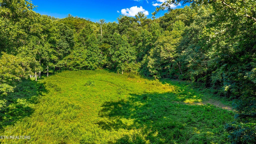 Photo of 8 Halls Top Rd, Newport, TN 37821 (MLS # 1349115)
