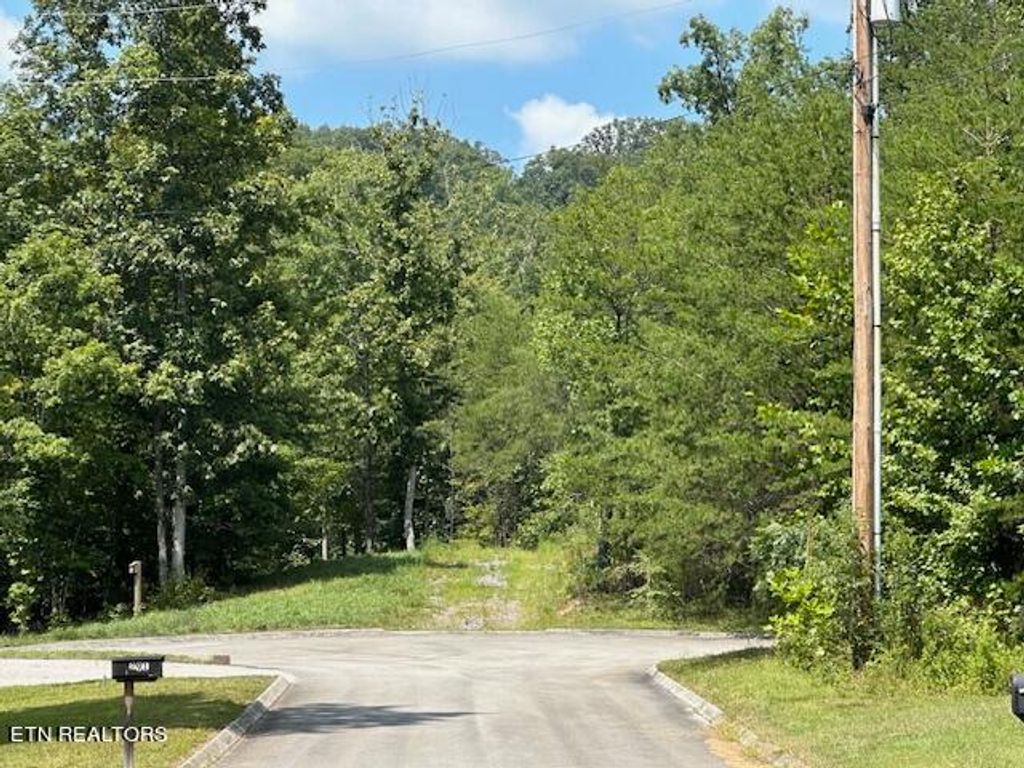 Photo of Cedar Rock, Rutledge, TN 37861 (MLS # 1274156)