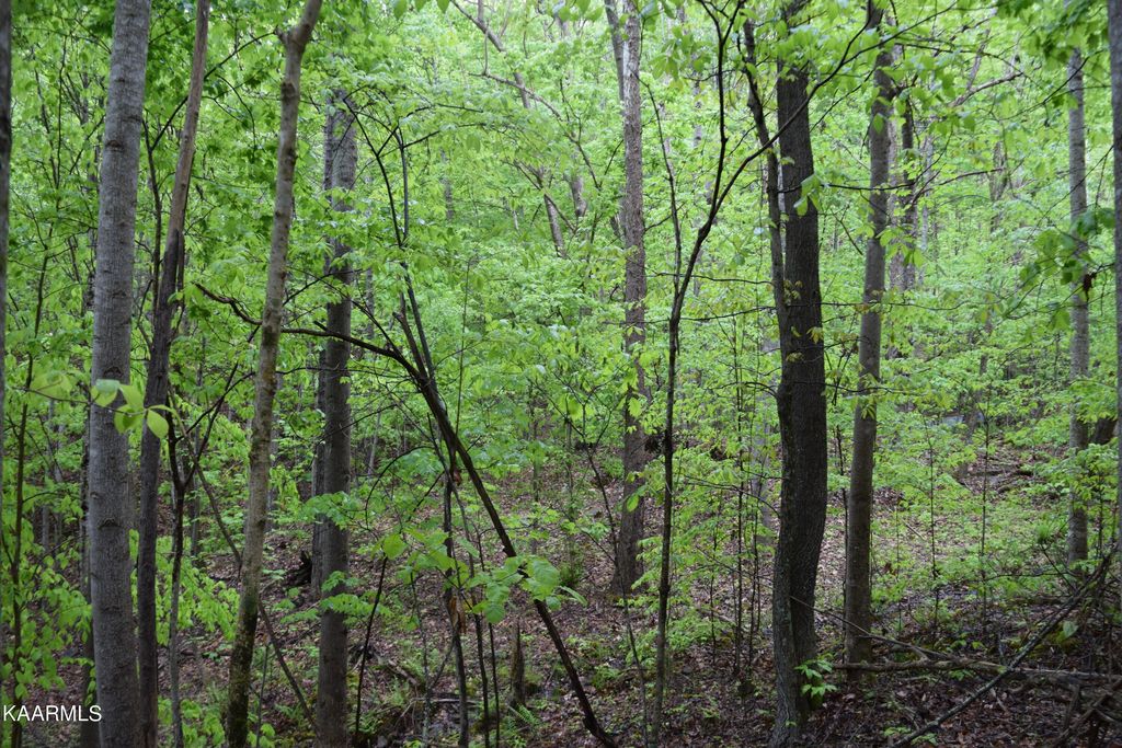 Photo of 995 Whistle Valley Rd, New Tazewell, TN 37825 (MLS # 1225290)