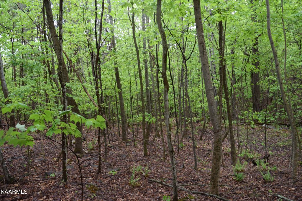 Photo of 995 Whistle Valley Rd, New Tazewell, TN 37825 (MLS # 1225290)