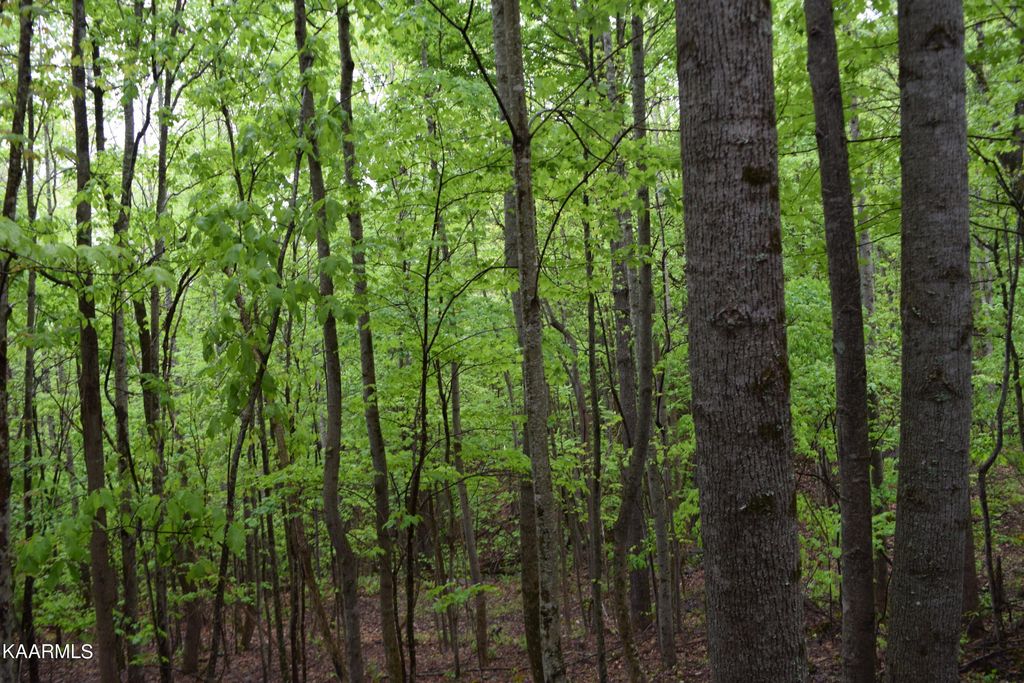 Photo of 995 Whistle Valley Rd, New Tazewell, TN 37825 (MLS # 1225290)