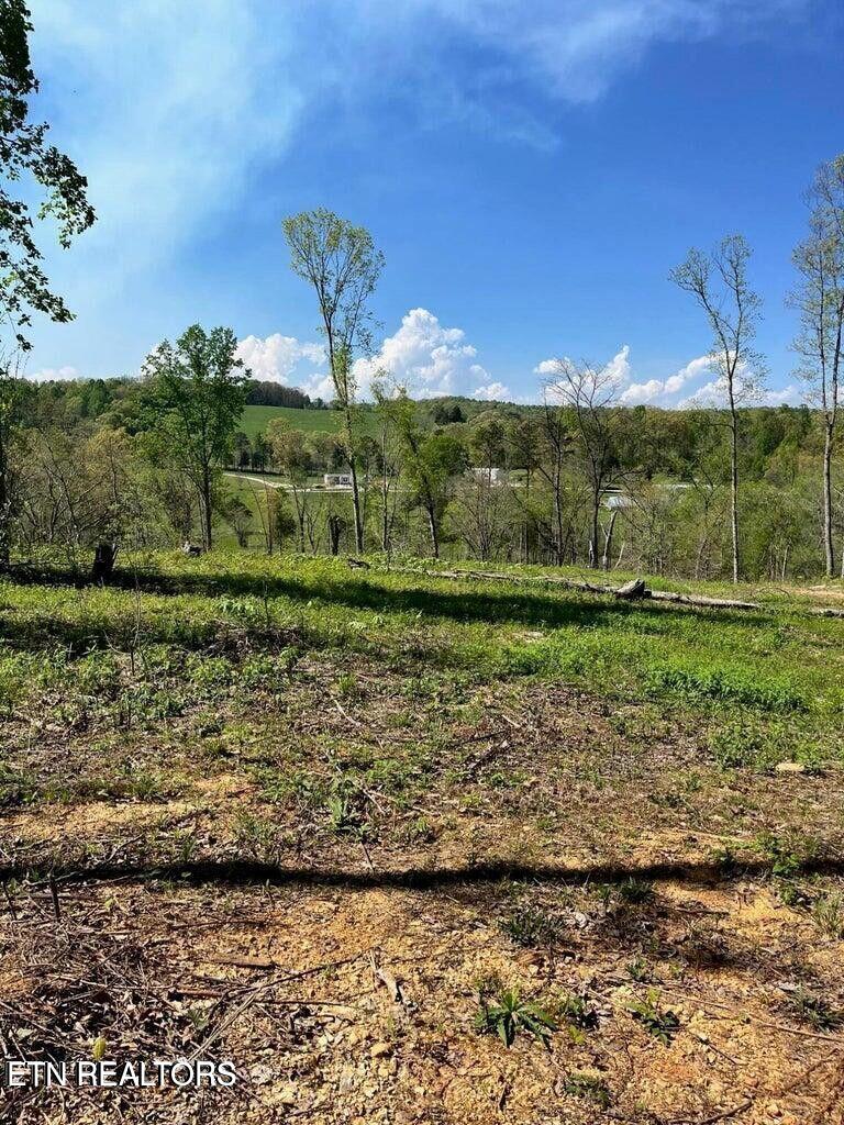 Tract 1 Mill Creek Rd