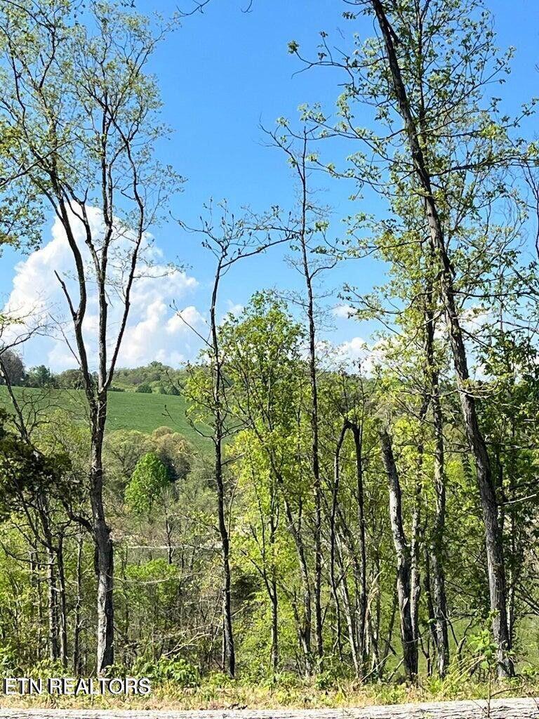 Tract 1 Mill Creek Rd