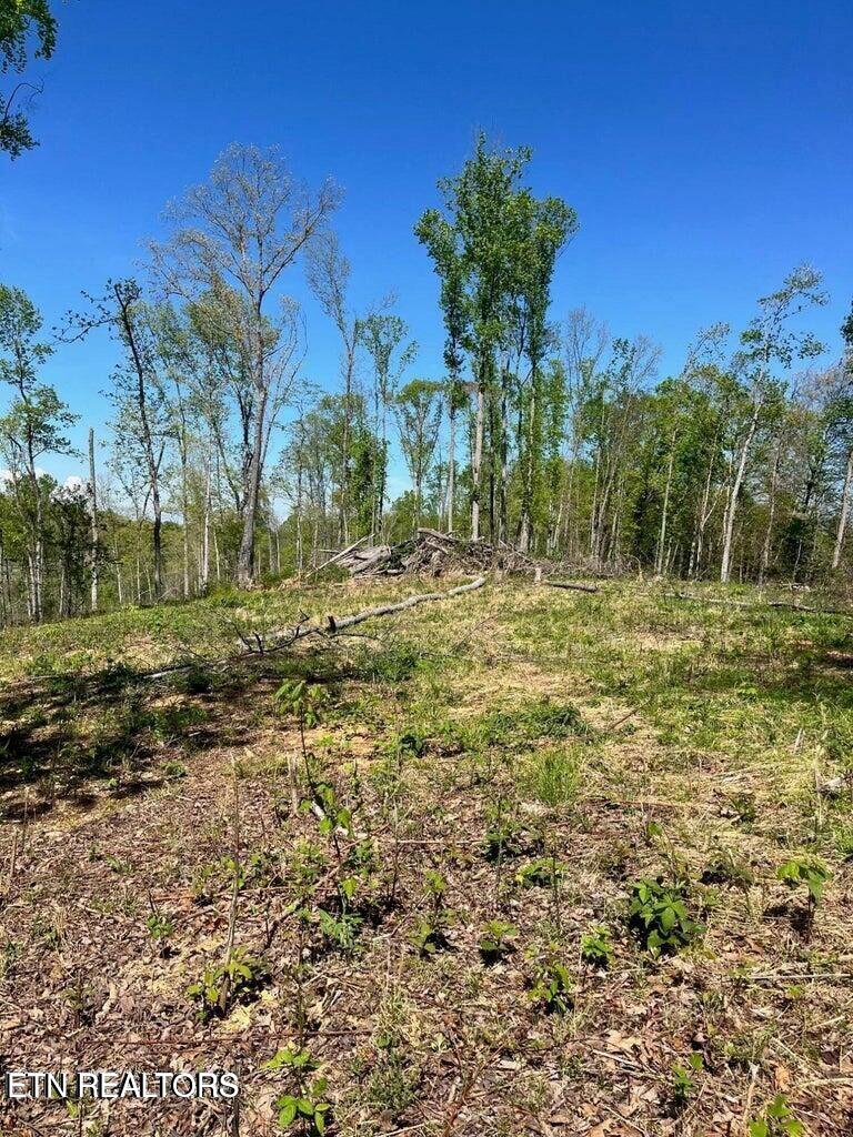 Tract 1 Mill Creek Rd