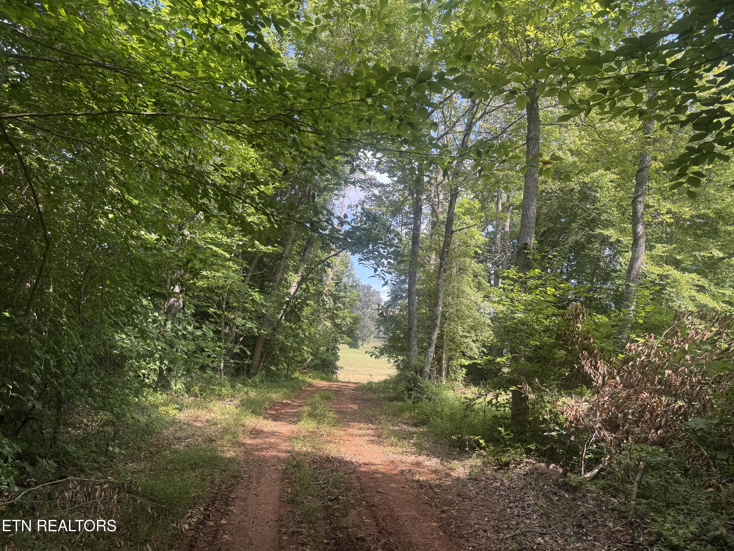 Tract 1 Mill Creek Rd