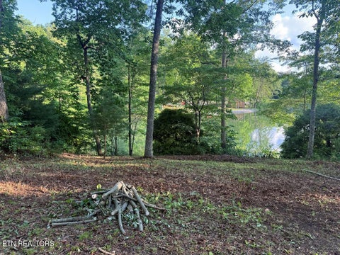 Photo of 231 Crockett Lake Drive, Crossville, TN 38572 (MLS # 1357703)