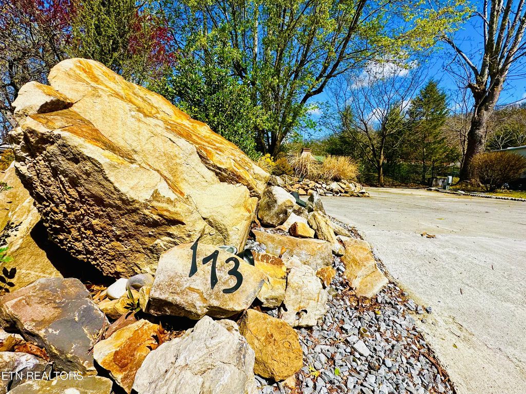 Photo of 173 Highway 73, Townsend, TN 37882 (MLS # 1257354)
