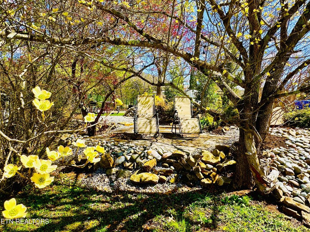 Photo of 173 Highway 73, Townsend, TN 37882 (MLS # 1257354)