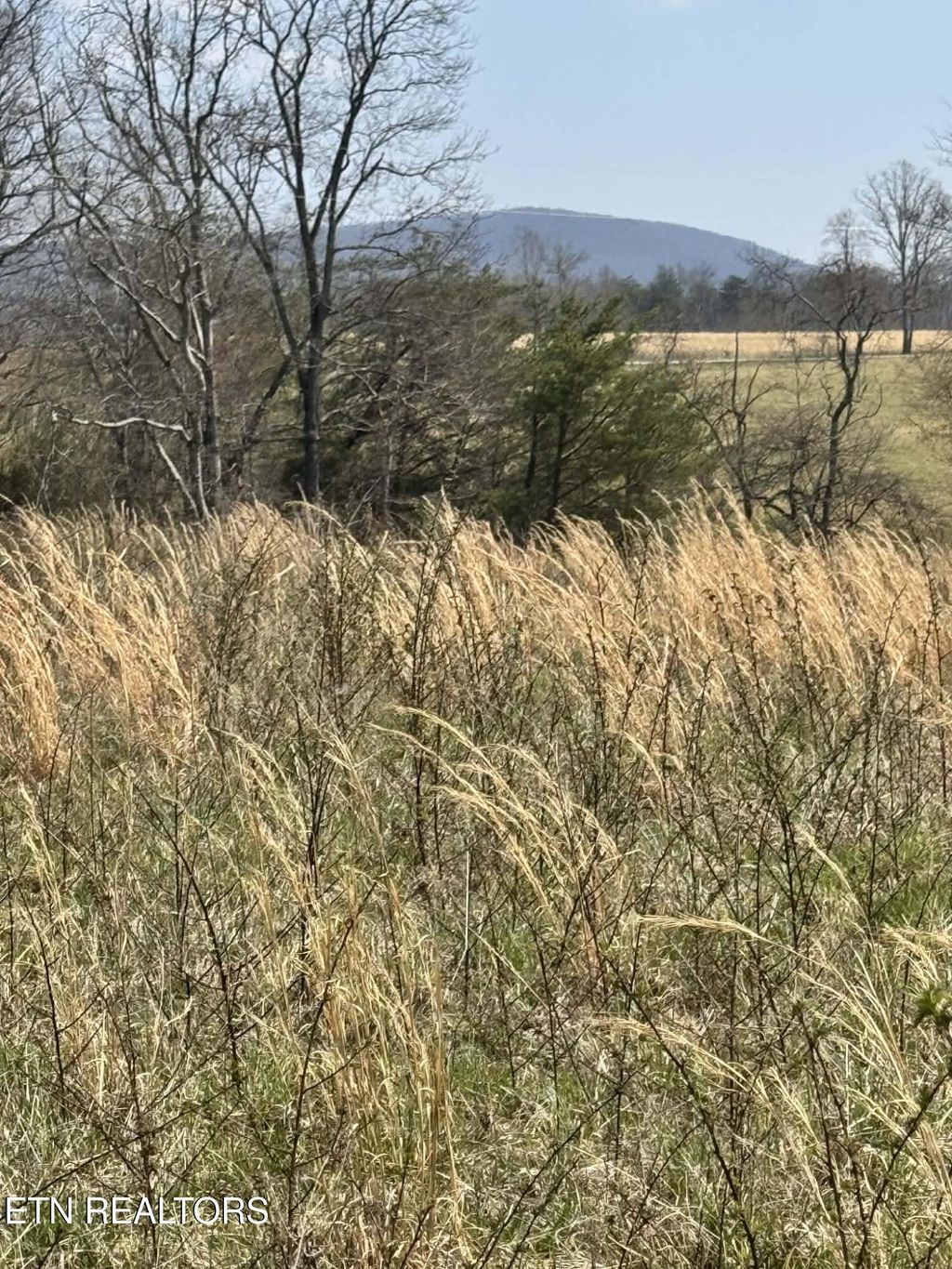 Photo of Knox, Crossville, TN 38555 (MLS # 1335375)