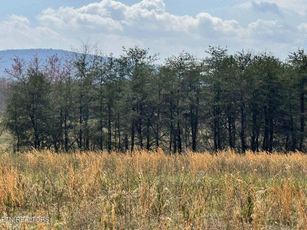 Photo of Knox, Crossville, TN 38555 (MLS # 1335375)