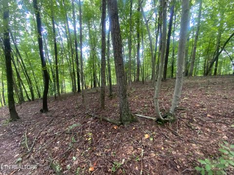 Lot 121 Hiwassee View Drive Jacksboro TN 37757