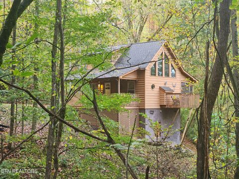 Photo of 3163 Sourwood Way, Sevierville, TN 37862 (MLS # 1331832)