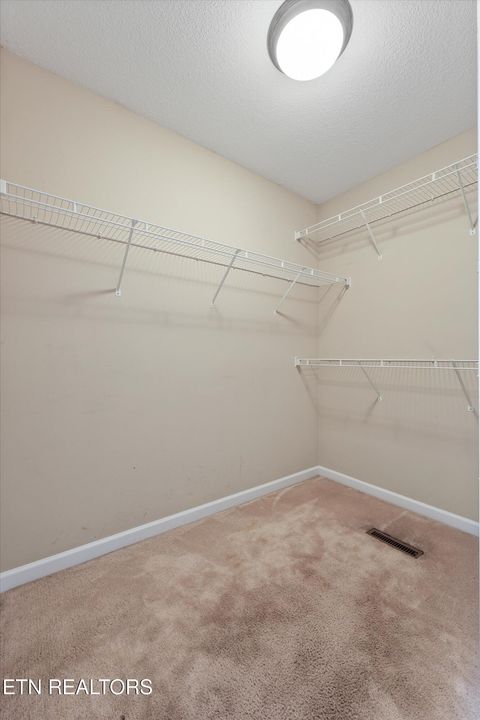 Tiny photo for 7302 Olive Branch Lane, Knoxville, TN 37931 (MLS # 1328124)