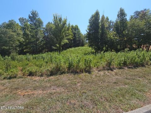 Tiny photo for 41 Meadow Lane, Harriman, TN 37748 (MLS # 1332507)