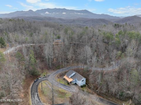 Tiny photo for 527 Hawks Tr, Gatlinburg, TN 37738 (MLS # 1342421)