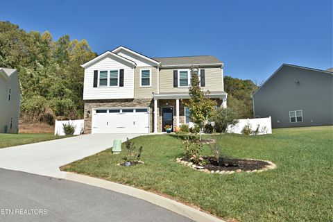 Photo of 8606 Leeanna Brooke Lane, Knoxville, TN 37920 (MLS # 1319673)