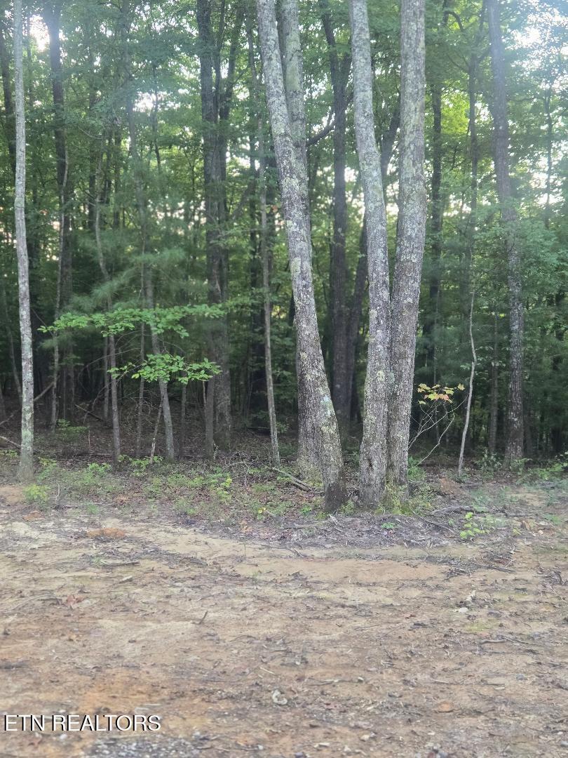 Photo of 5 Ravenwood Drive, Wartburg, TN 37887 (MLS # 1355056)