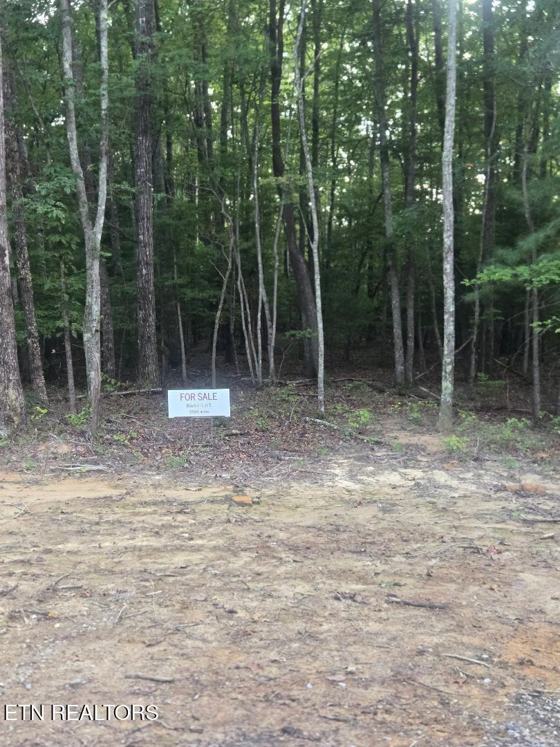 Photo of 5 Ravenwood Drive, Wartburg, TN 37887 (MLS # 1355056)