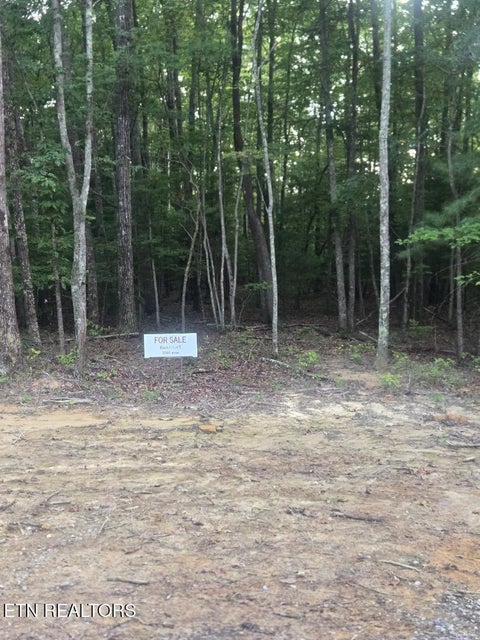 Photo of 5 Ravenwood Drive, Wartburg, TN 37887 (MLS # 1355056)