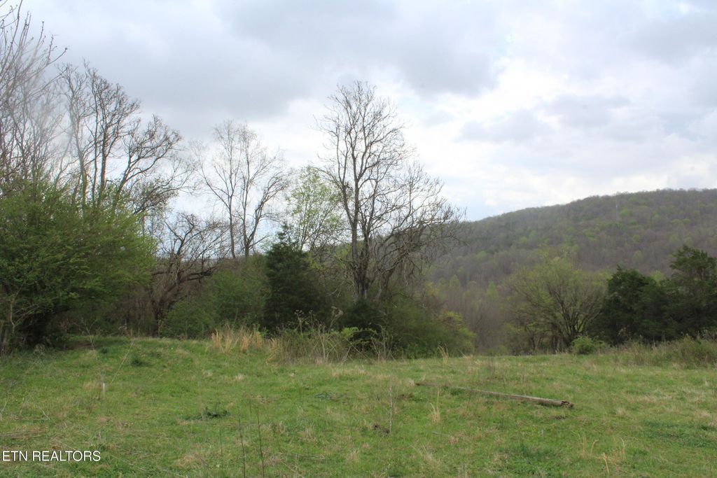 Photo of 171 Gooseneck Lane, Jamestown, TN 38556 (MLS # 1335024)