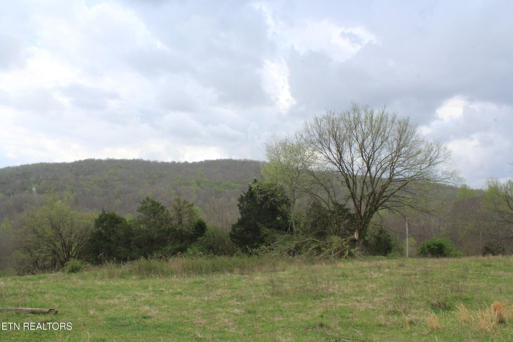 Photo of 171 Gooseneck Lane, Jamestown, TN 38556 (MLS # 1335024)
