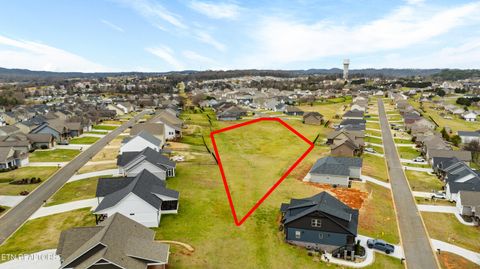 Tiny photo for Alden Glenn Court, Sevierville, TN 37876 (MLS # 1330050)