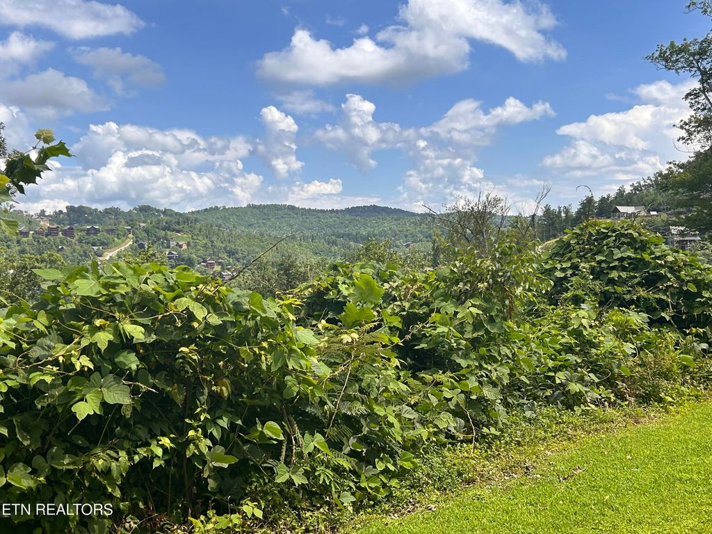 Photo of Loop Rd, Gatlinburg, TN 37738 (MLS # 1313753)