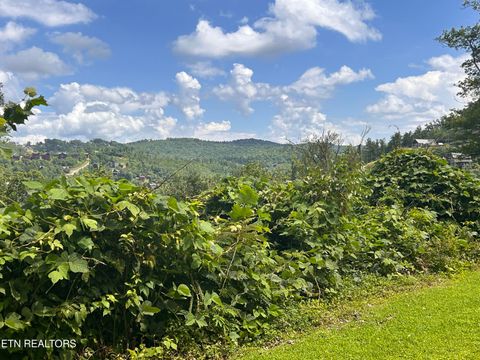 Tiny photo for Loop Rd, Gatlinburg, TN 37738 (MLS # 1313753)