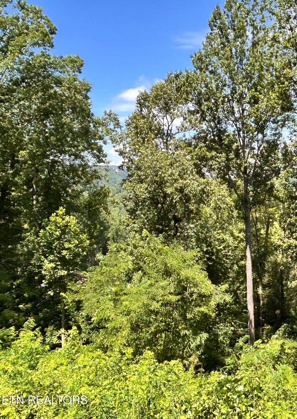 Photo of Loop Rd, Gatlinburg, TN 37738 (MLS # 1313753)