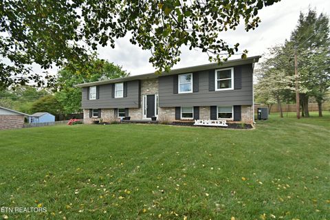 Photo of 509 E Meadecrest Drive, Knoxville, TN 37923 (MLS # 1336837)