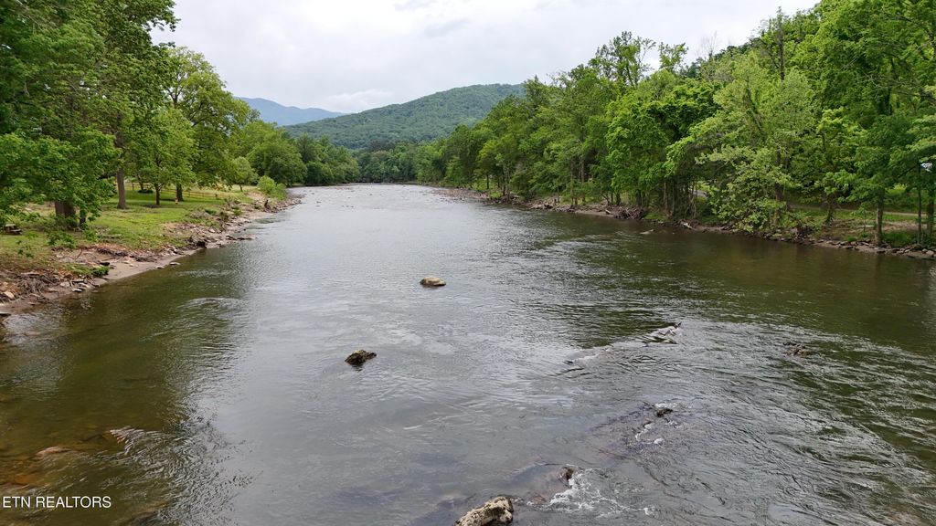 Photo of 2259 Hartford Rd, Cosby, TN 37722 (MLS # 1329833)