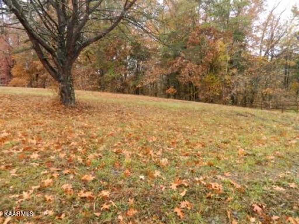 Photo of McKinney Rd 1.9 acre Lot, Blaine, TN 37709 (MLS # 1210604)