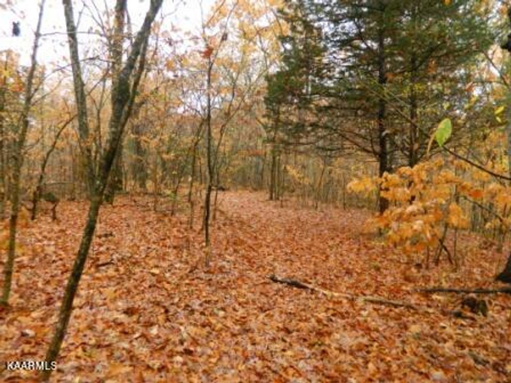 Photo of McKinney Rd 1.9 acre Lot, Blaine, TN 37709 (MLS # 1210604)