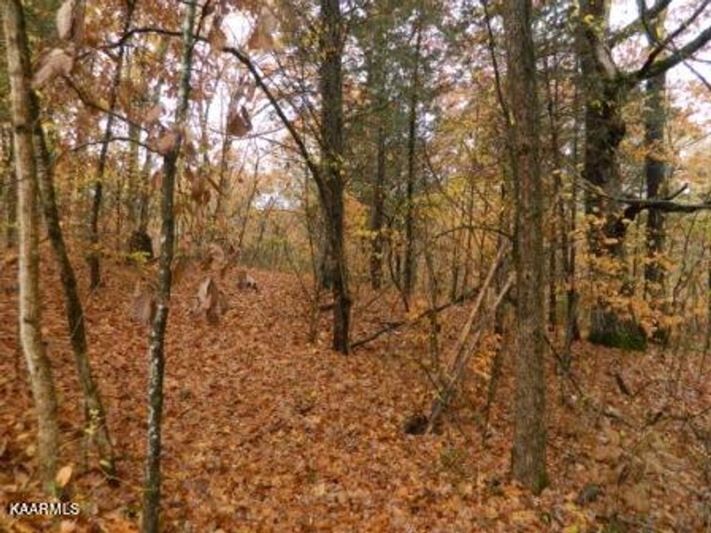 Photo of McKinney Rd 1.9 acre Lot, Blaine, TN 37709 (MLS # 1210604)