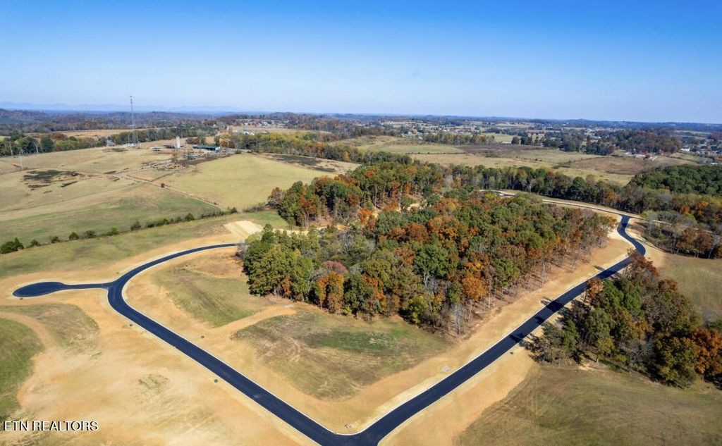 Photo of 123 Kellys View Drive, Greenback, TN 37742 (MLS # 1264512)