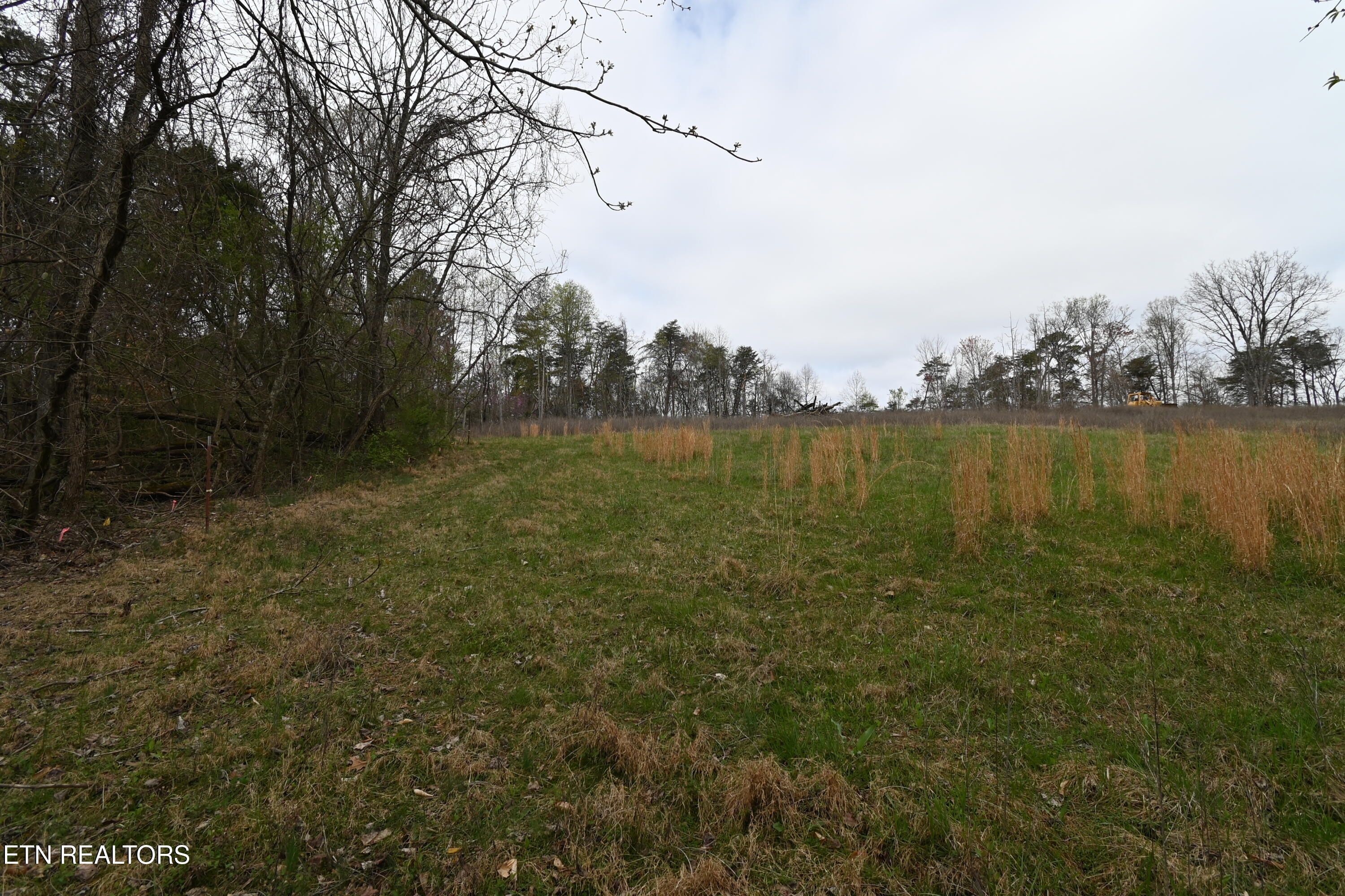 58.5 Acres Greenlee Rd