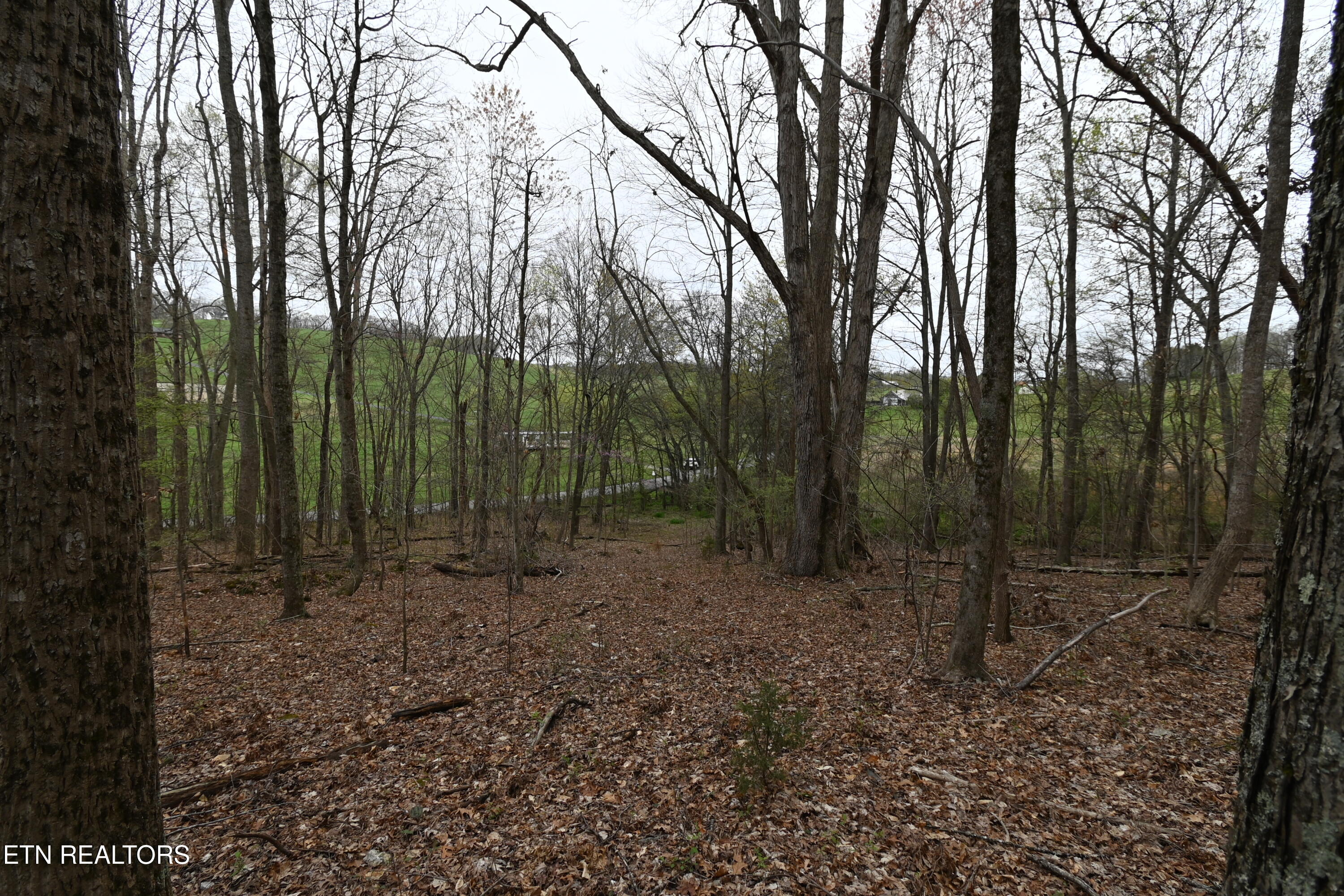 58.5 Acres Greenlee Rd
